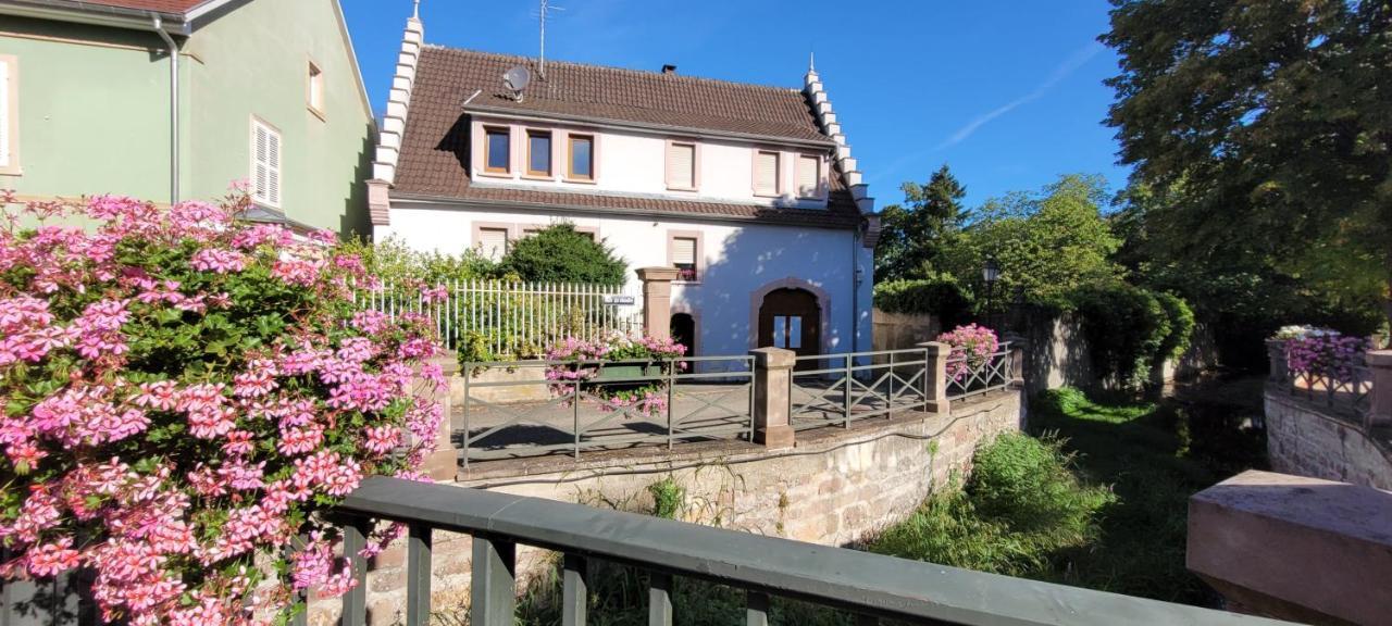 Apartament Le Cocon Du Rimbach Soultz-Haut-Rhin Zewnętrze zdjęcie