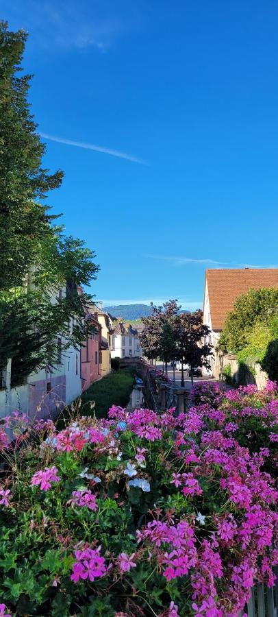 Apartament Le Cocon Du Rimbach Soultz-Haut-Rhin Zewnętrze zdjęcie